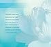 Journey Into Meditation: Guided Meditations for R