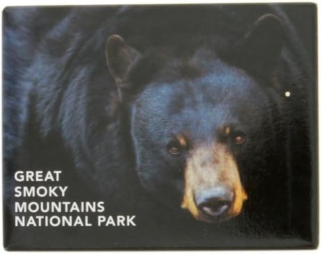 GSM Black Bear Magnet