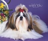 For the Love of Shih Tzu 2008 Deluxe Wall Calendar