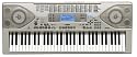 CASIO CTK-900 PORTABLE KEYBOARD - 61 Full-Size Keyboard with Advanced Sounds & Storage with ZPI Technology