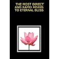 THE MOST DIRECT AND RAPID MEANS TO ETERNAL BLISS by Michael Langford