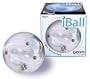iBall WIN 1099