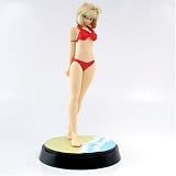 Melty Blood PVC Figures - Arcueid BrunestudIMAGE