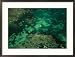 Aerial View of Outrigger Canoe with Sail in Clear Kenyan Waters Framed Photographic Poster Print by Bobby Haas, 29x21