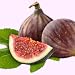 fig flavor extract