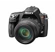 Sony Alpha A390 Digital SLR with SAL-55200-2 55-200mm f/4-5.6 DT AF Zoom Lens