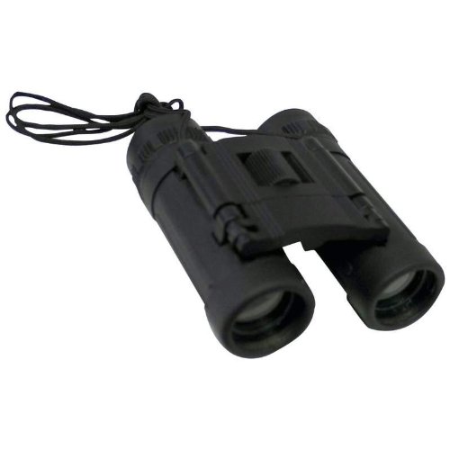 Click here to buy 7X21 Binocular (No Prism) by bf.