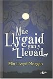 Mae llygaid gan y lleuad