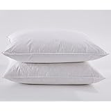 Puredown White Goose Feather and Down Pillow, Standard, Set of 2