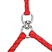ColorPet Double Red Dog Leash For Two Dogs