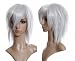 Cosplayland C462 - 40CM straight Final Fantasy Kadaj Witch Halloween Wig - Silver