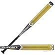 Easton SRV1B Synergy Clarity Fastpitch Softball Bat, -10
