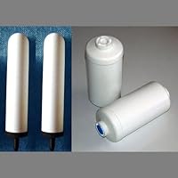 2 Big Berkey - British Berkefeld 9'' Ceramic Replacement Filters & 2 PF-4 Fluoride Filters