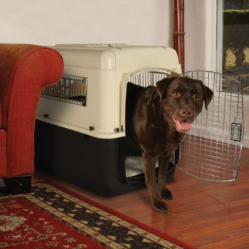 petco home and travel premium kennel