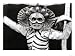 Religious Dance of the Skeleton, Chumbi Valley, Kirimtse, Tibet Subject Photographic Poster Print, 24x18