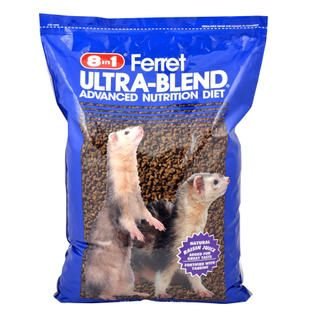 ferret food