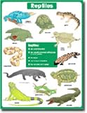 CHART VERTEBRATES REPTILES