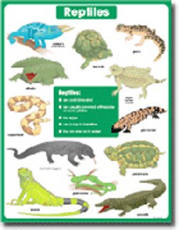 CARSON DELLOSA CHART VERTEBRATES REPTILES