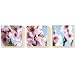 Graham and Brown 43306 Cherry Blossom Canvas, Box Set of Three