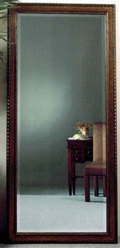 63088-261 Leaner Mirror