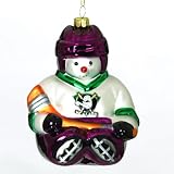 Pack of 2 NHL Anaheim Mighty Ducks Hockey Snowman Glass Christmas Ornaments 5.5"