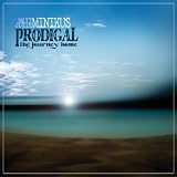 Matt MInikus Prodigal: the Journey Home