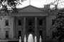 Classic United States Government Branches Film DVD: The Legislative Branch, Executive Branch, & Judicial Branch Of The US Federal Government Film