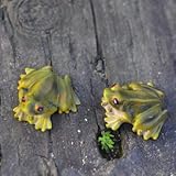 お庭のお池 小さな仲間たち ちいさな カエルさん カタツムリさん カメさん みんな揃うと楽しいね (カエルさん×2匹)