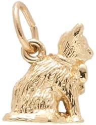 Rembrandt Charms Cat Charm