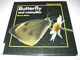 Butterfly and caterpillar