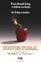 Boston Public - The Complete First Season