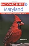 Backyard Birds of Maryland: How to Identify and Attract the Top 25 Birds