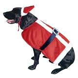 Santa Dog Costume