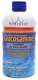 Wellesse Joint Movement Glucosamine with Chondroitin + MSM, Natural Berry Flavor, 16-Ounce (480 ml) (Pack of 2)