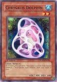 YuGiOh Power of the Duelist Chrysalis Dolphin POTD-EN006 Common