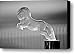 1925 Citroen Cloverleaf Hood Ornament 2 Canvas Print / Canvas Art - Artist Jill Reger