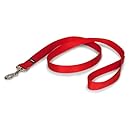 PetSafe Nylon Leash, 1" x 4', Red