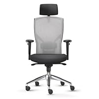 X-Prit Executive Mesh Ergonomic Office Chair with Hyper-Active Lumbar Support - Grey