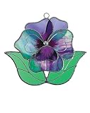 Pansy / Purple