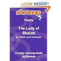 The Lady of Shalott: Shmoop Poetry Guide