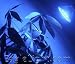 Blue Hydroponic Grow Light - PAR38 LED Flood Light