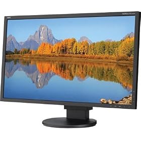 NEC 24-Inch LED-Backlit Desktop Monitor with Integrated Speakers (EA243WM-BK) by 