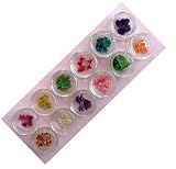 Assortissement fleurs séchées (#40762)