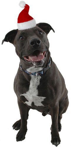 Mini Santa Hat Mini Santa Hat