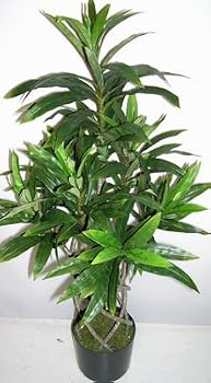 3' Braided Trunk Artificial Yucca Plant (Green)