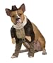 Indiana Jones Pet Costume, X-Large