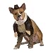 Indiana Jones Pet Costume, X-Large