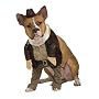 Indiana Jones Pet Costume, Large