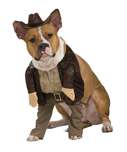Indiana Jones Pet Costume