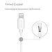 [Apple MFI Certified] Delippo Lightning USB Cable 3.3ft/1m Sturdy Sync Charge Cord for Apple iPhone 7 6/6s/6 Plus/ 5S/5C/5 iPad Air Ipod Series PowerLine